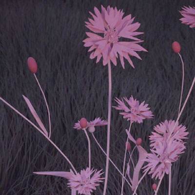 leyu乐鱼·体育下载手机版