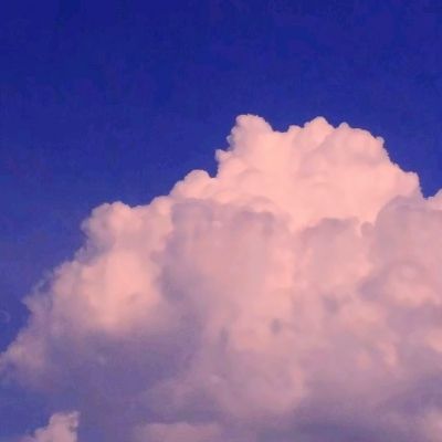 开云体云app手机app下载