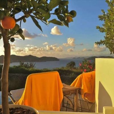 开云体云app手机app下载截图