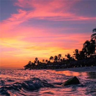 万博下载地址苹果版