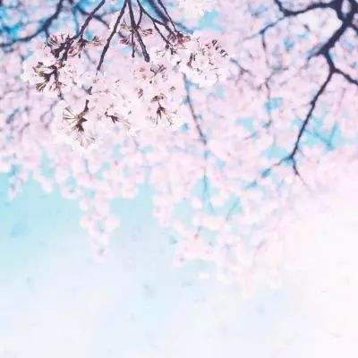 开元·app下载手机版