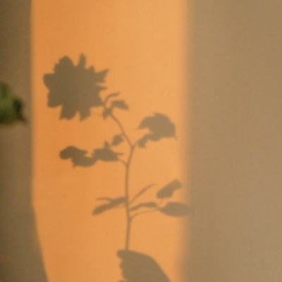 leyu·乐鱼体育手机app下载